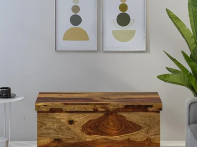 Solid Sheesham wood trunk coffee table for living room – Sarve Furniture