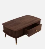 Aanya Solid Sheesham Wood Natural Finish Living Room Coffee Table - Image 6