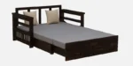 Vedant Solid Sheesham Wood Modern Convertible Sofa Cum Bed for Living Room - Image 6